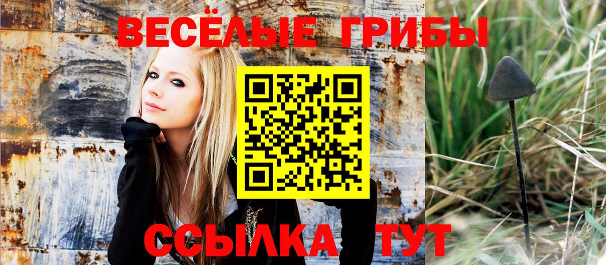 Cocaine  Alpha PVP СОЛЬ   Меф МЯУ МЯУ кристаллы  ГАШИШ  Псков  Вход с VPN 
